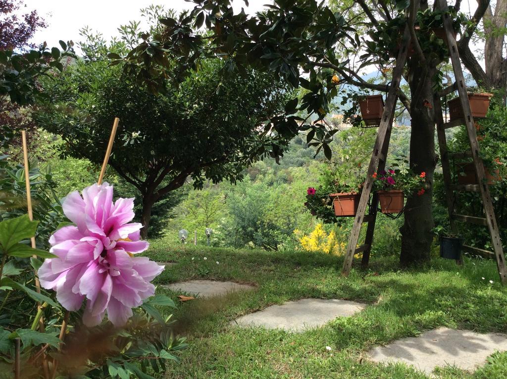 L'Acacia B&B Pietra Ligure Kültér fotó